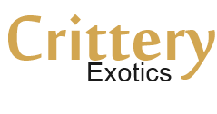 Crittery